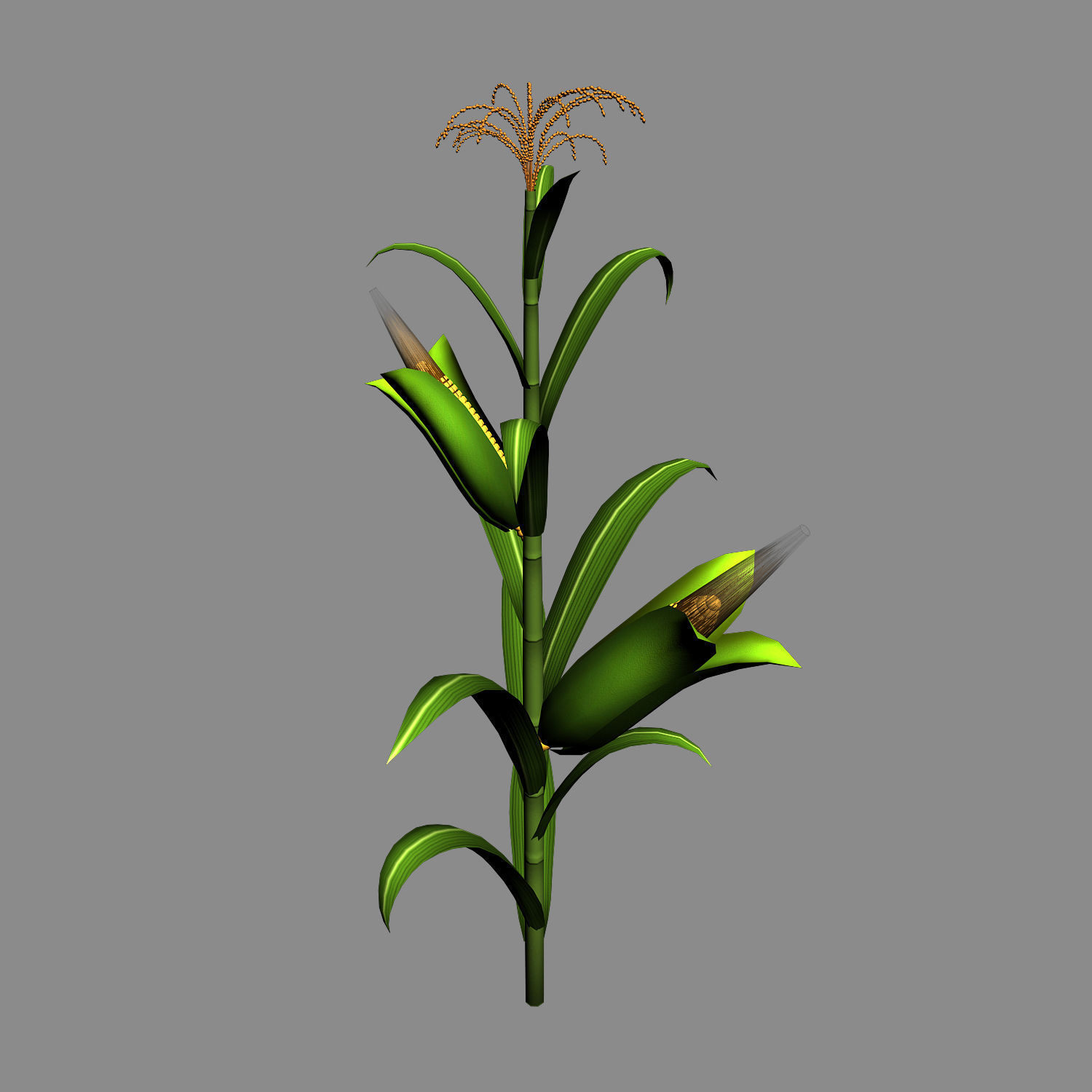 Koike town - plant - corn 01 3D model_1