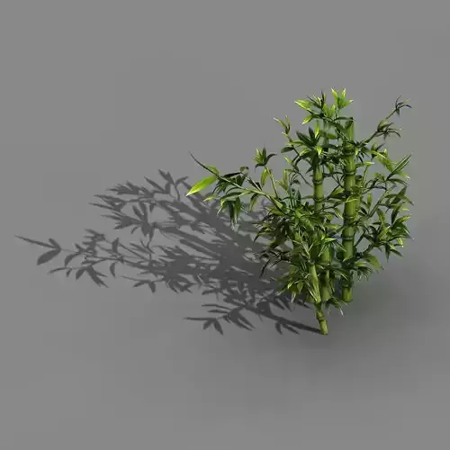 Koike Town - Plant - Bamboo 01