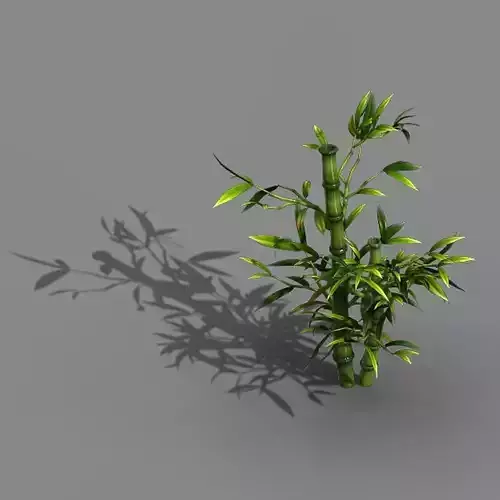 Koike Town - Plant - Bamboo 03