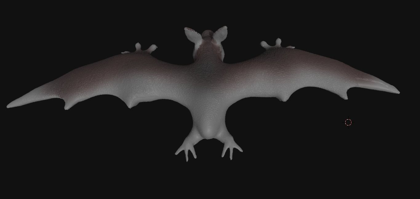 bat 3d flying 3D model_7