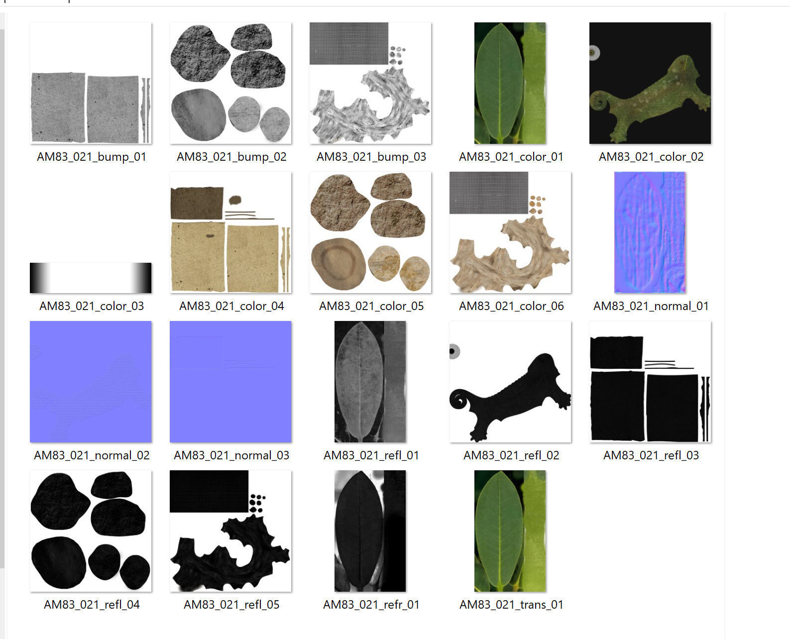 Reptiles terrarium Decoration  Low-poly 3D model_5