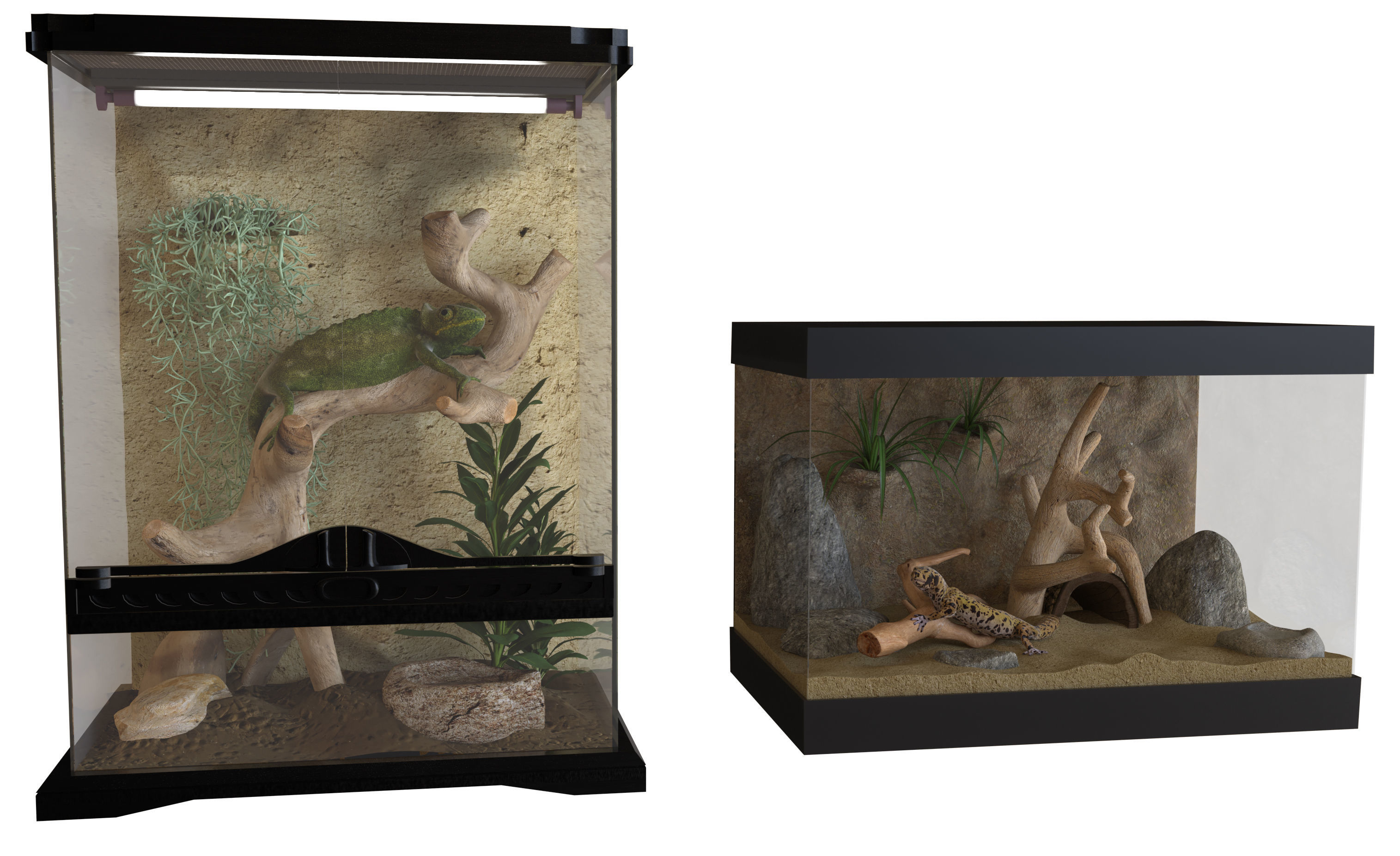 Reptiles terrarium Decoration  Low-poly 3D model_3