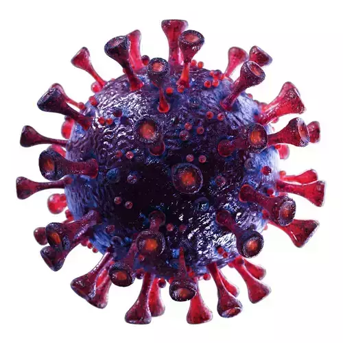 Coronavirus SARS-CoV-2 - Violet Low-poly 3D model