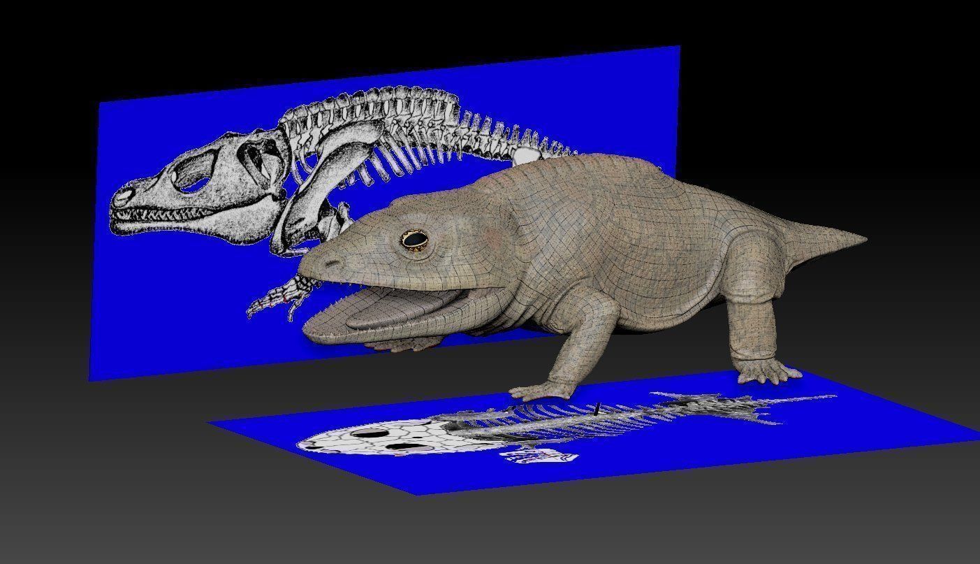 Extinct amphibians pack Low-poly 3D model_35