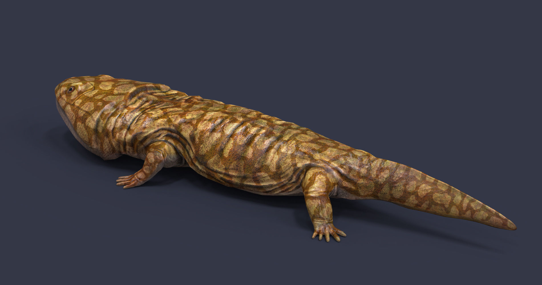 Extinct amphibians pack Low-poly 3D model_18