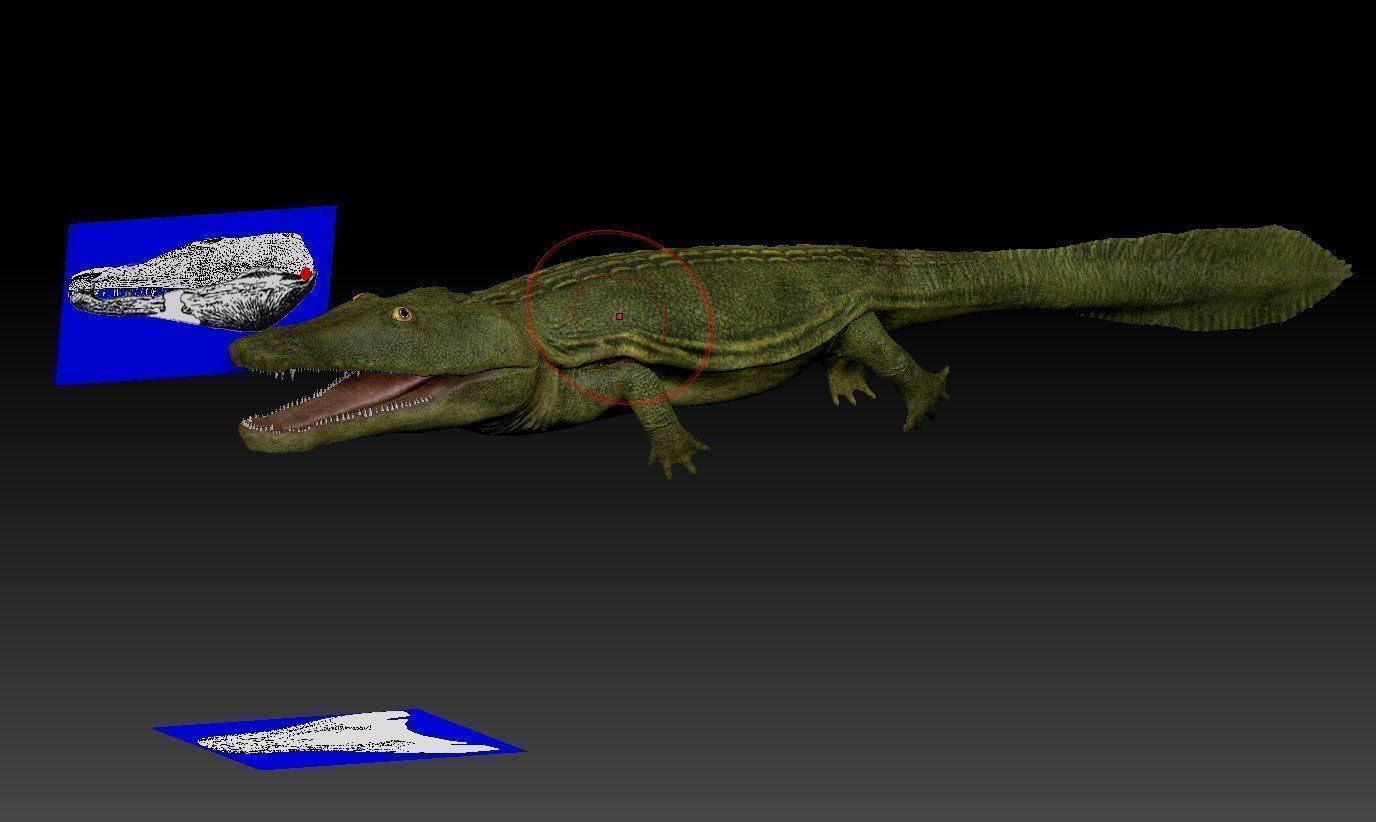 Extinct amphibians pack Low-poly 3D model_12