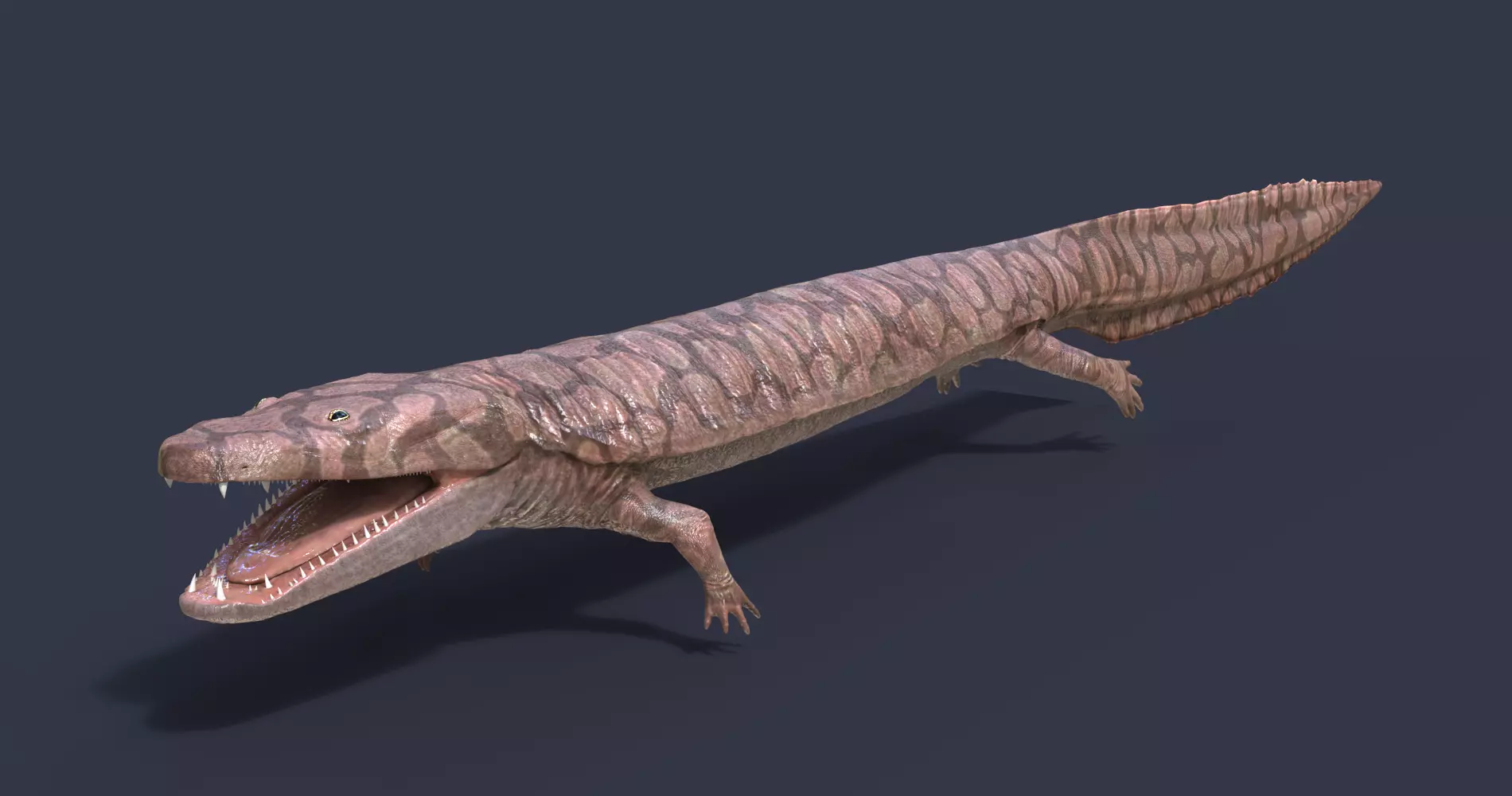 Extinct amphibians pack Low-poly 3D model_0