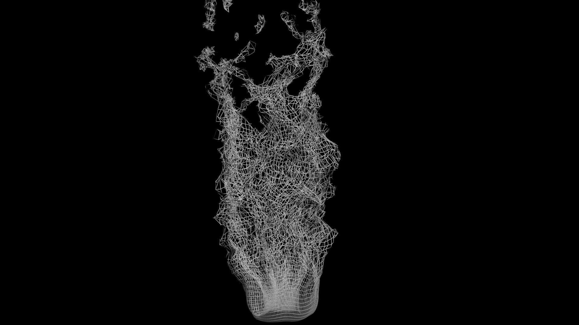 3D Fire animation  3D model_14