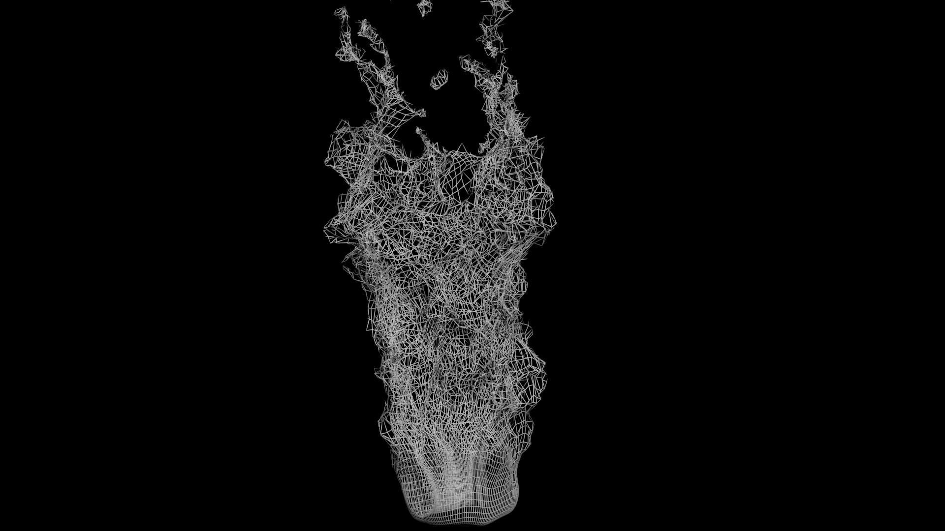 3D Fire animation  3D model_15