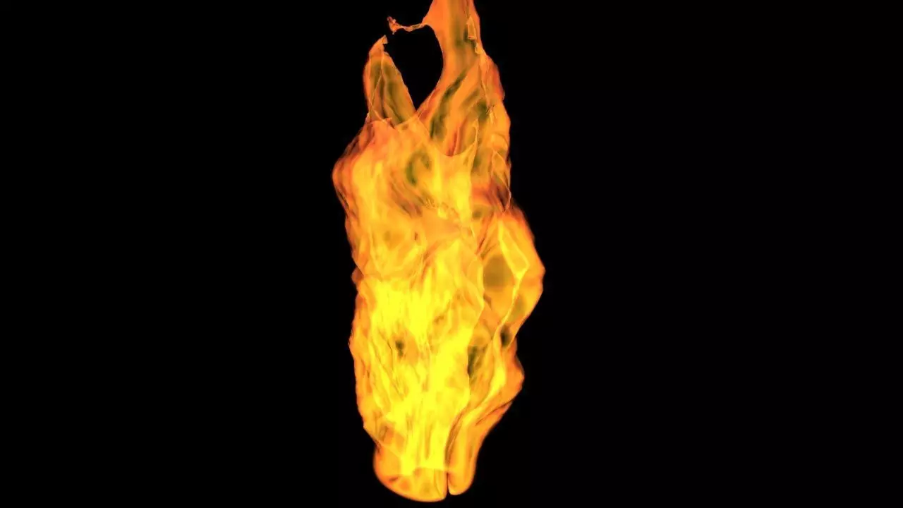 3D Fire animation  3D model_0
