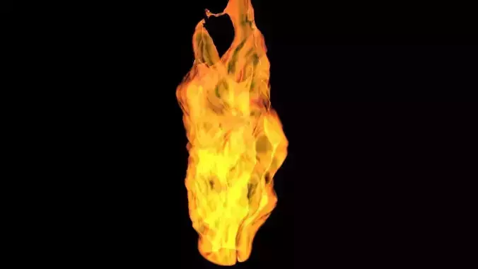 3D Fire animation  3D model
