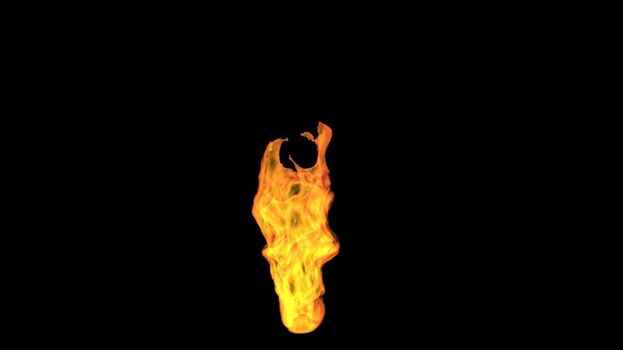 3D Fire animation  3D model_2