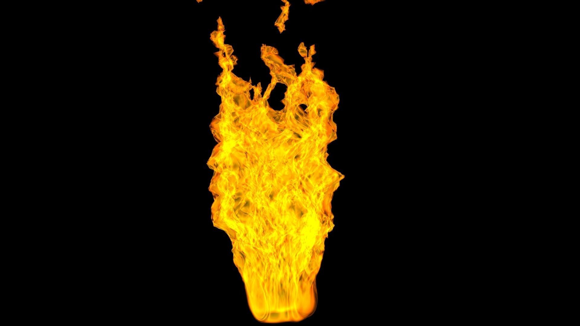 3D Fire animation  3D model_5