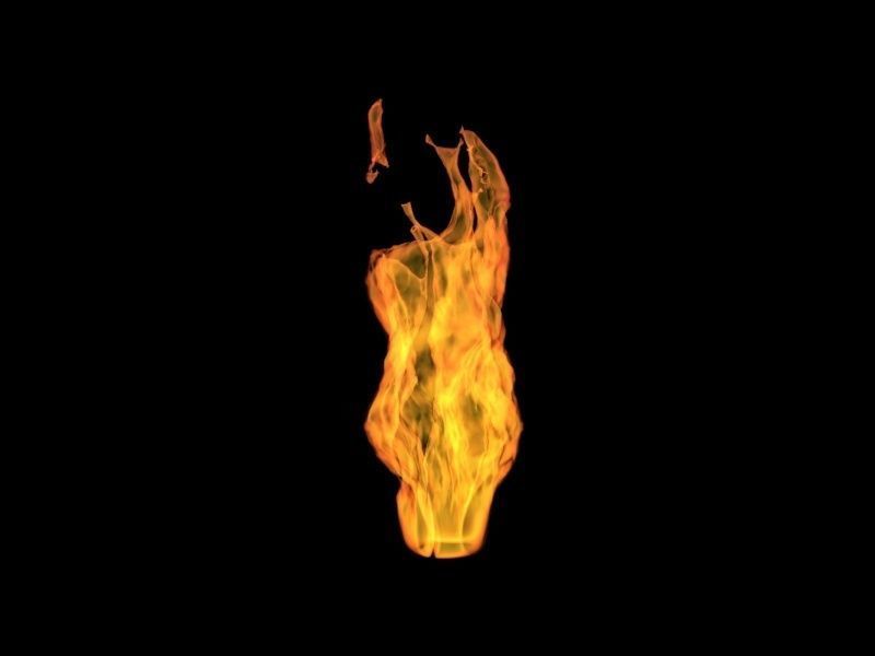 3D Fire animation  3D model_11