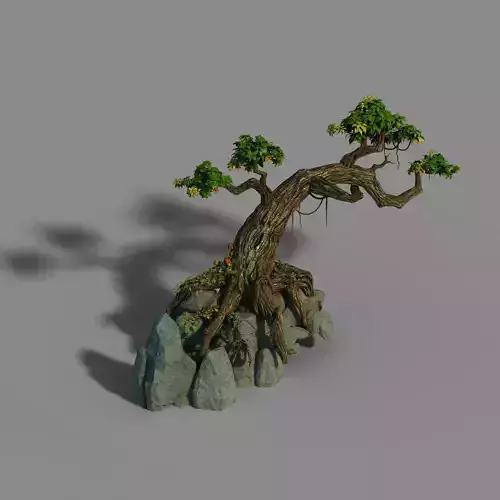 Small bamboo peak - tree 01