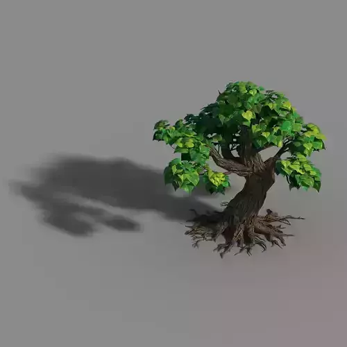 Small bamboo peak - tree 08