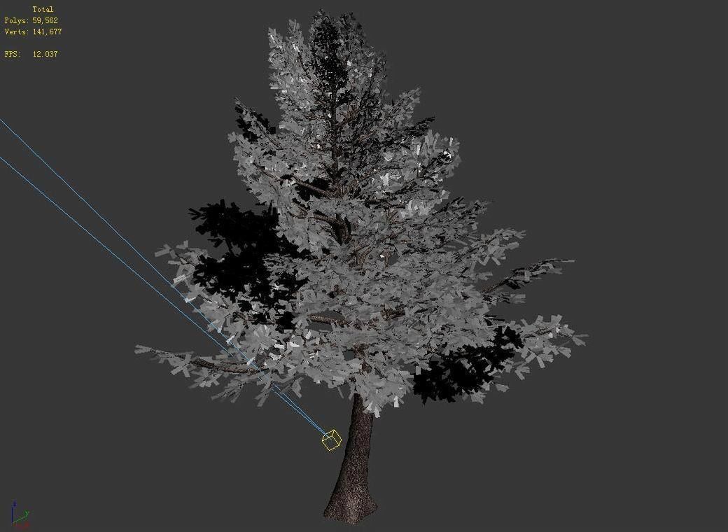 Sennard - evergreen 31 3D model_4