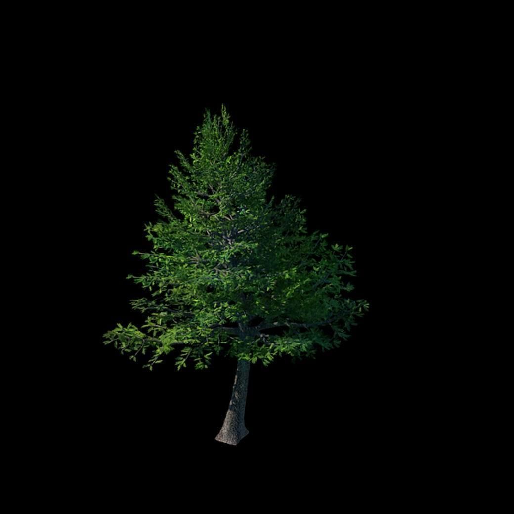 Cincinnati - Evergreen 3D model_1