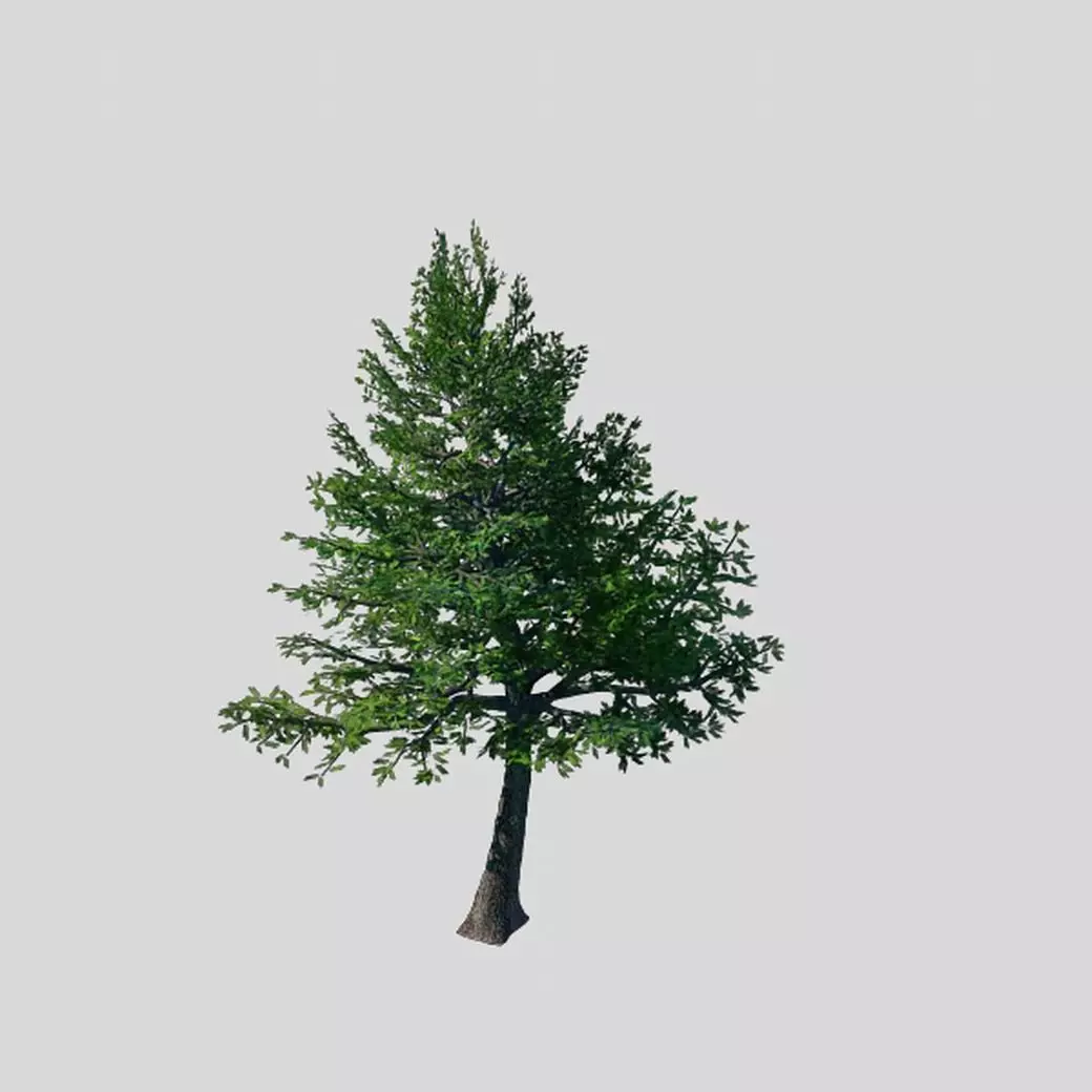 Cincinnati - Evergreen 3D model_0