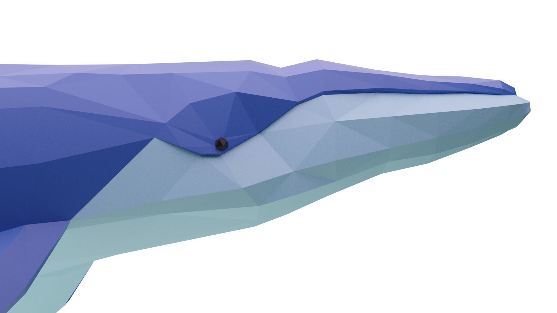 Cartoony Blue Whale Low-poly 3D model_6