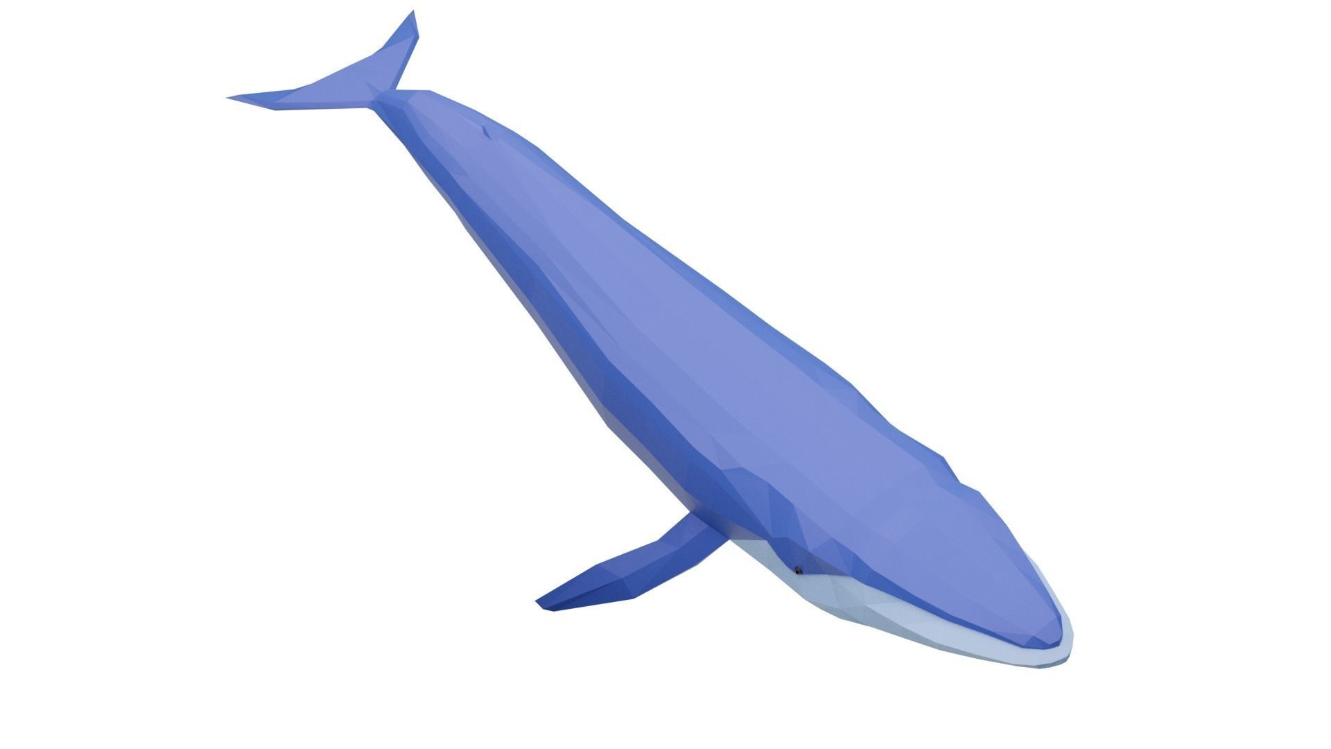 Cartoony Blue Whale Low-poly 3D model_5
