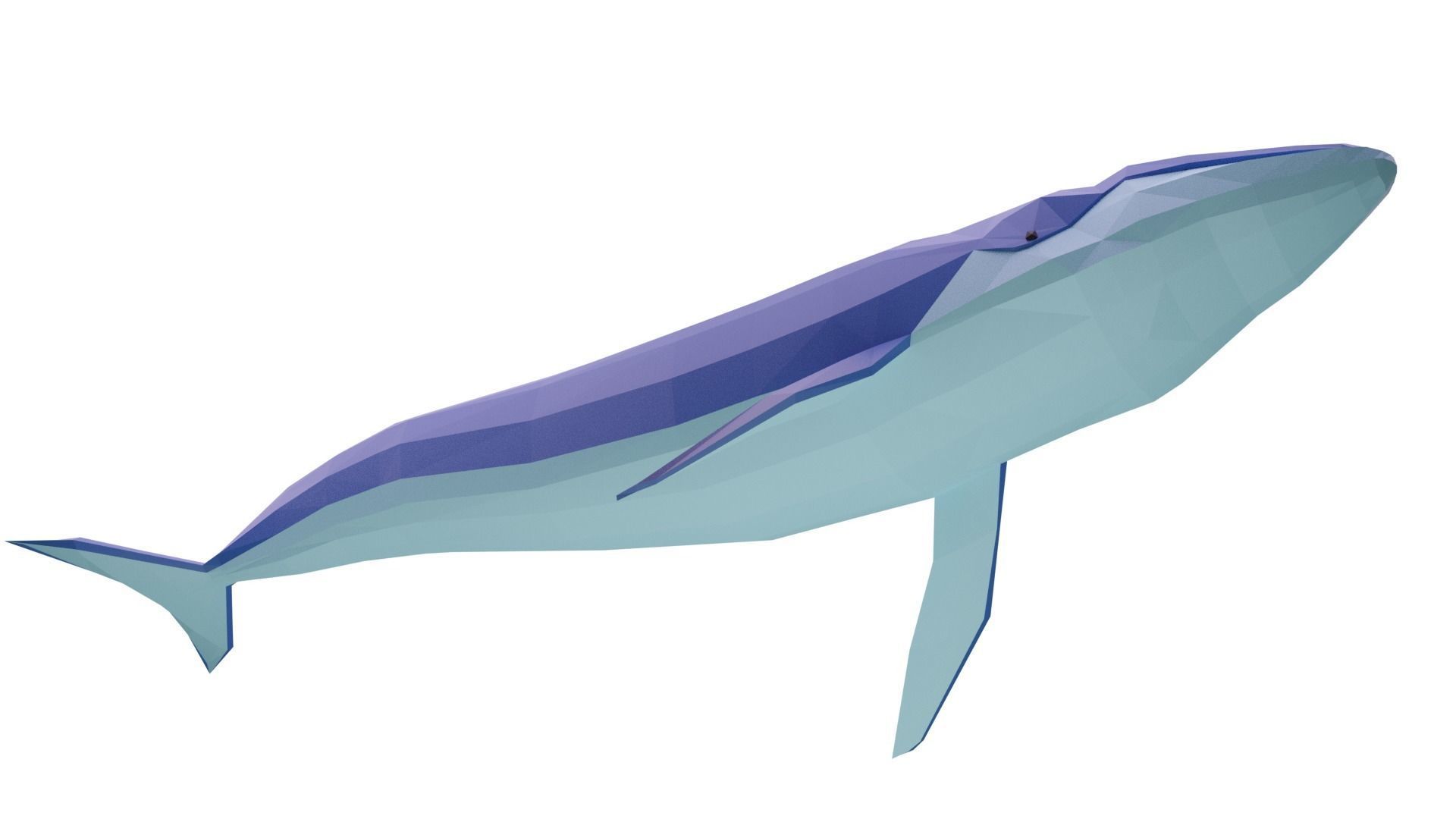 Cartoony Blue Whale Low-poly 3D model_3