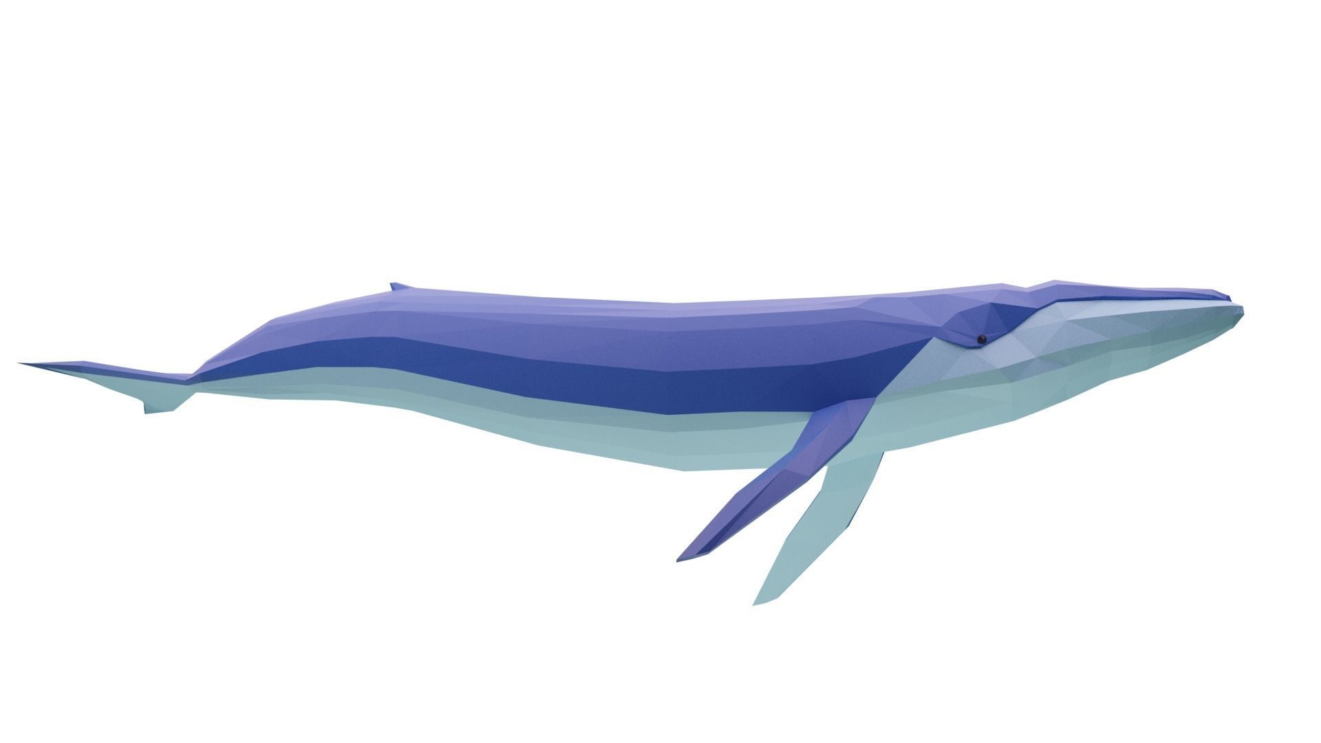 Cartoony Blue Whale Low-poly 3D model_1