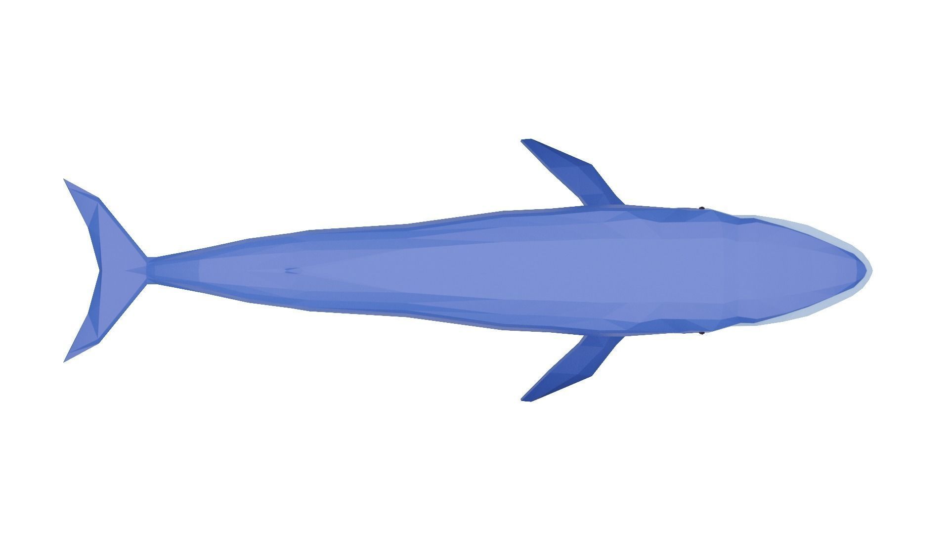 Cartoony Blue Whale Low-poly 3D model_2