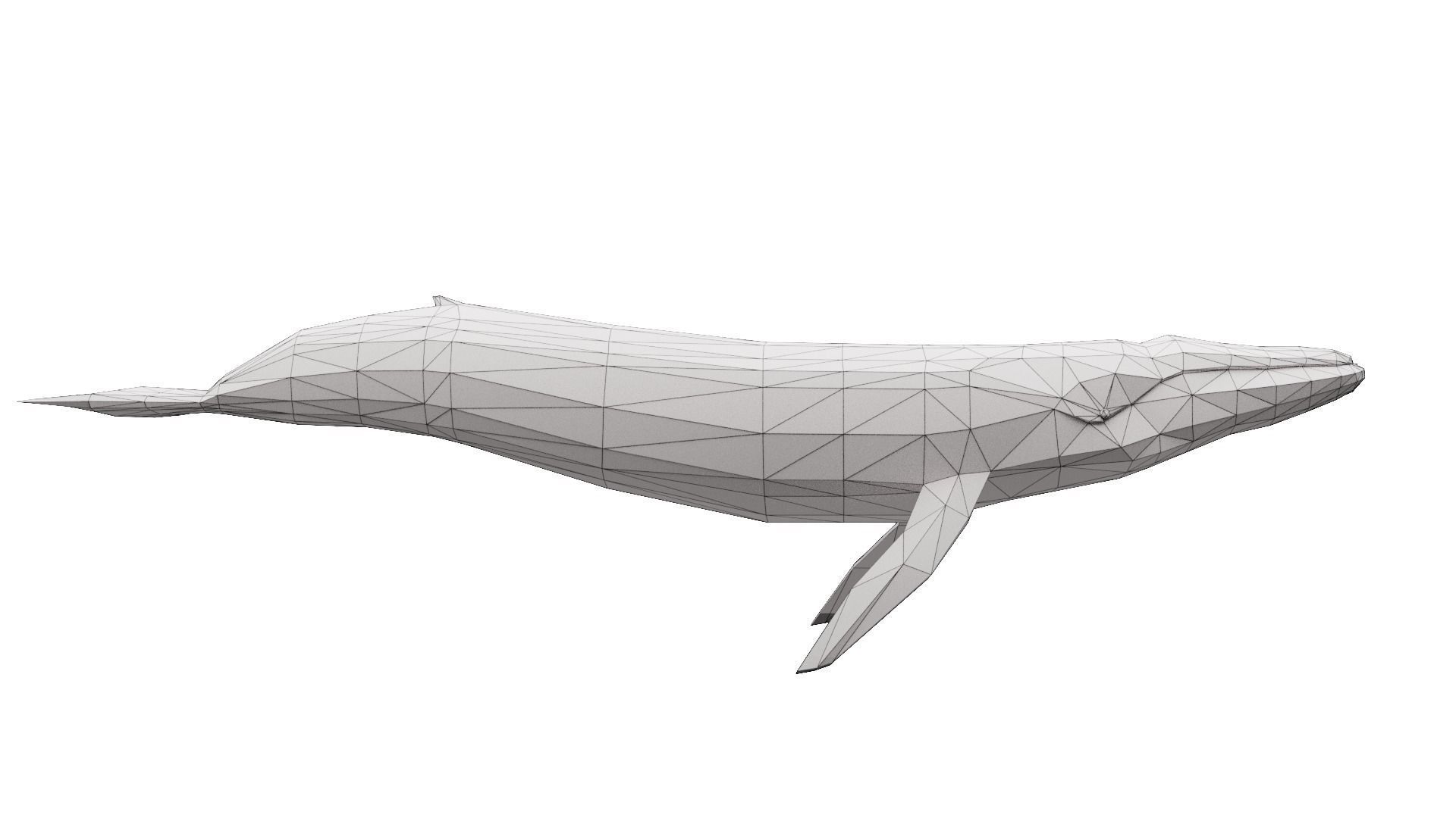 Cartoony Blue Whale Low-poly 3D model_7