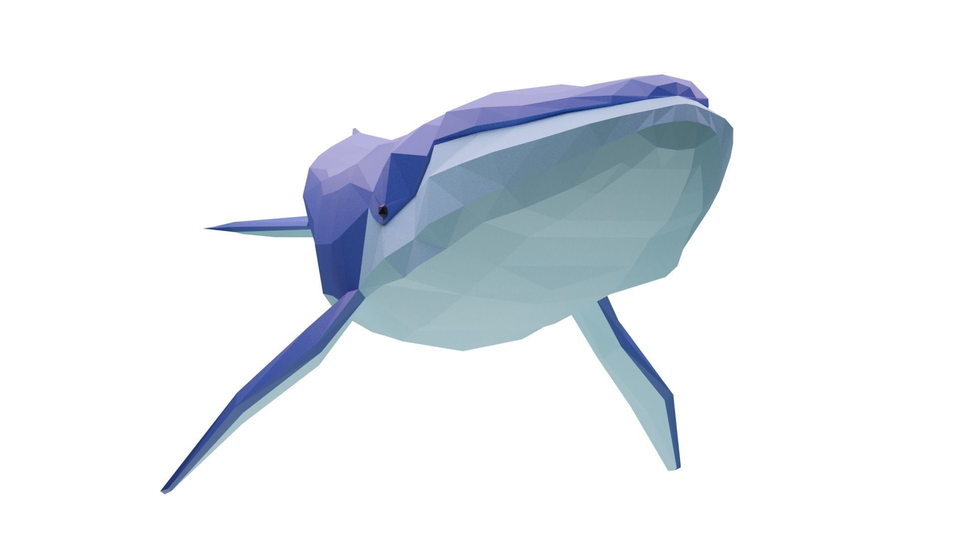 Cartoony Blue Whale Low-poly 3D model_4