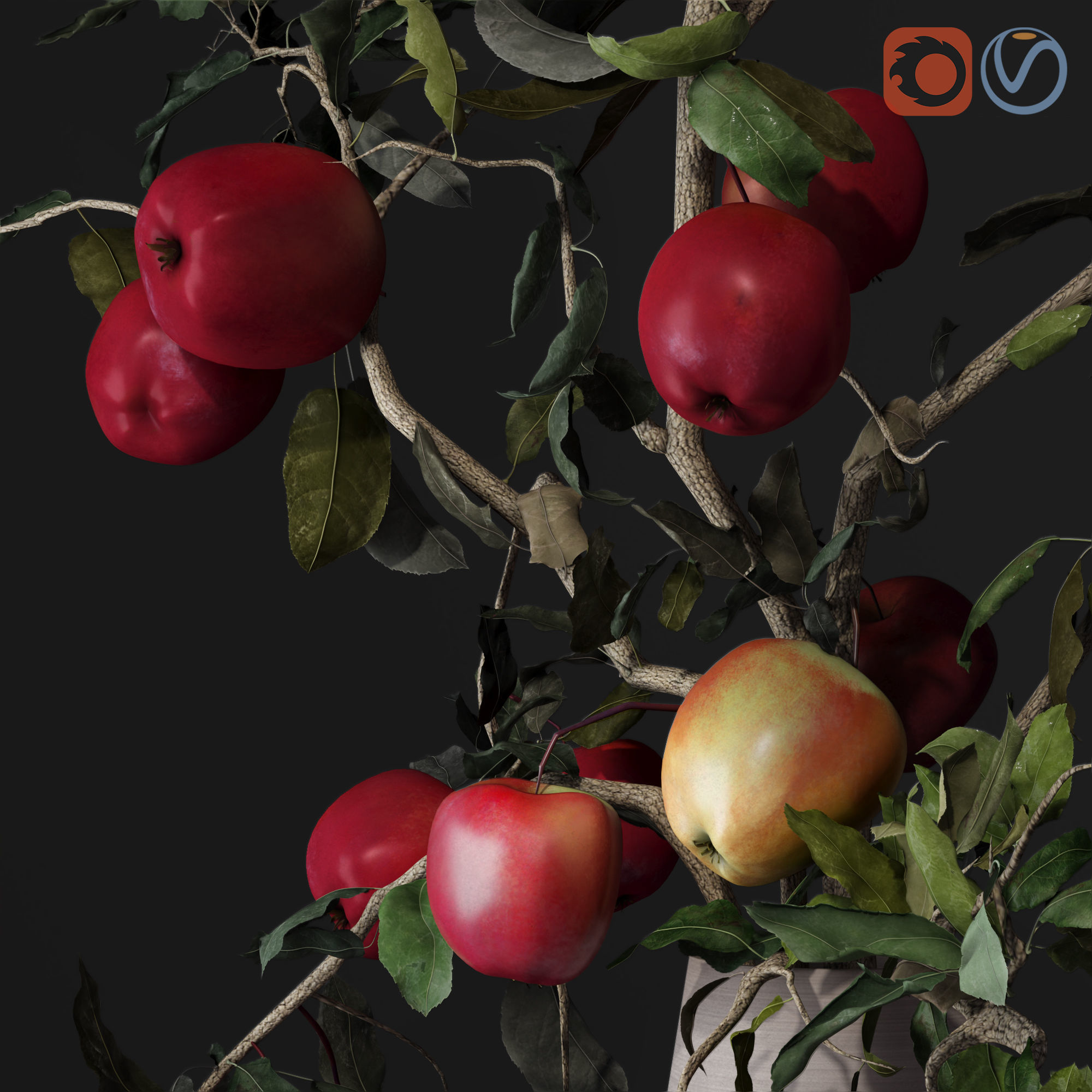 Red Cherry tomato apple branches Dry leaves Vase 3D model_32