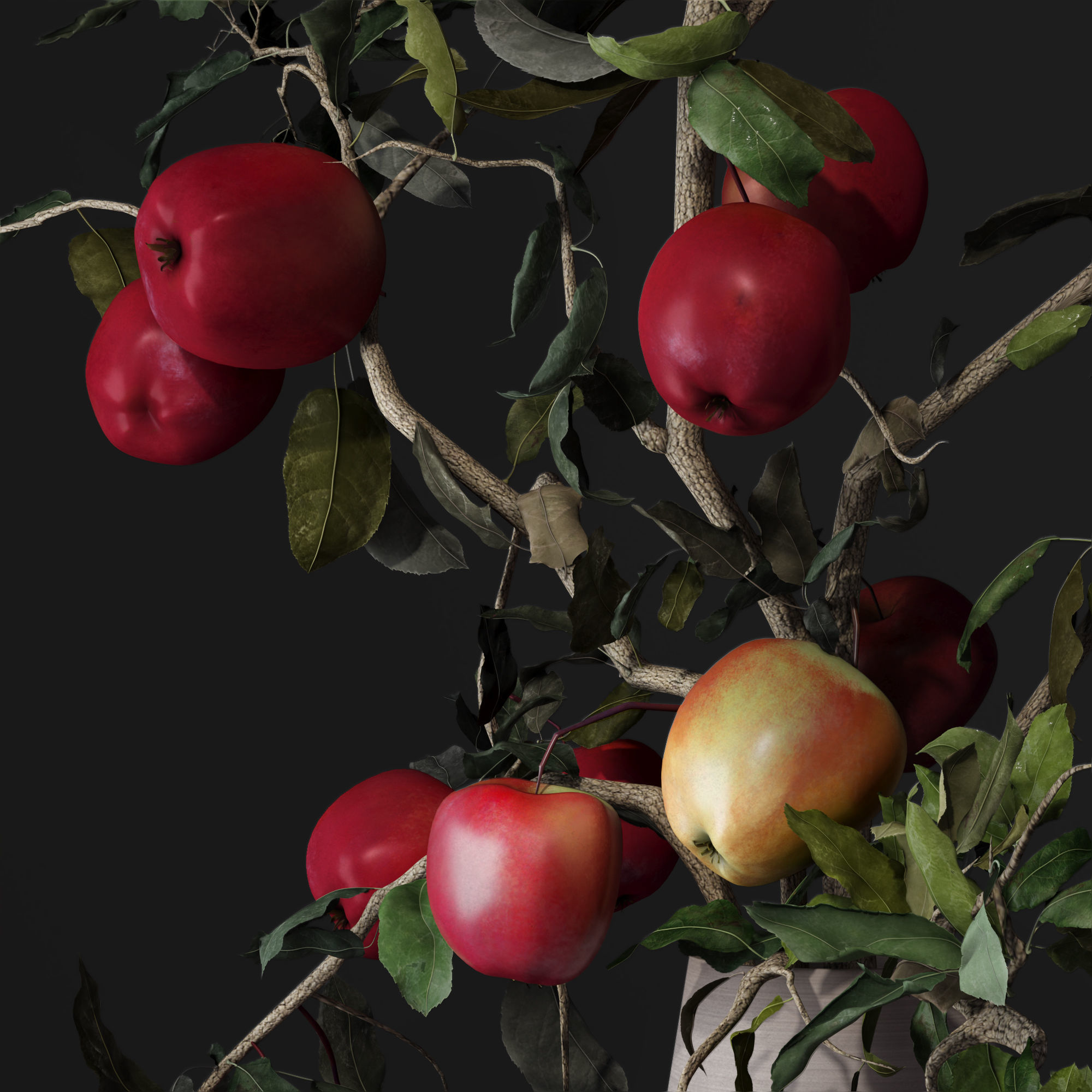 Red Cherry tomato apple branches Dry leaves Vase 3D model_19