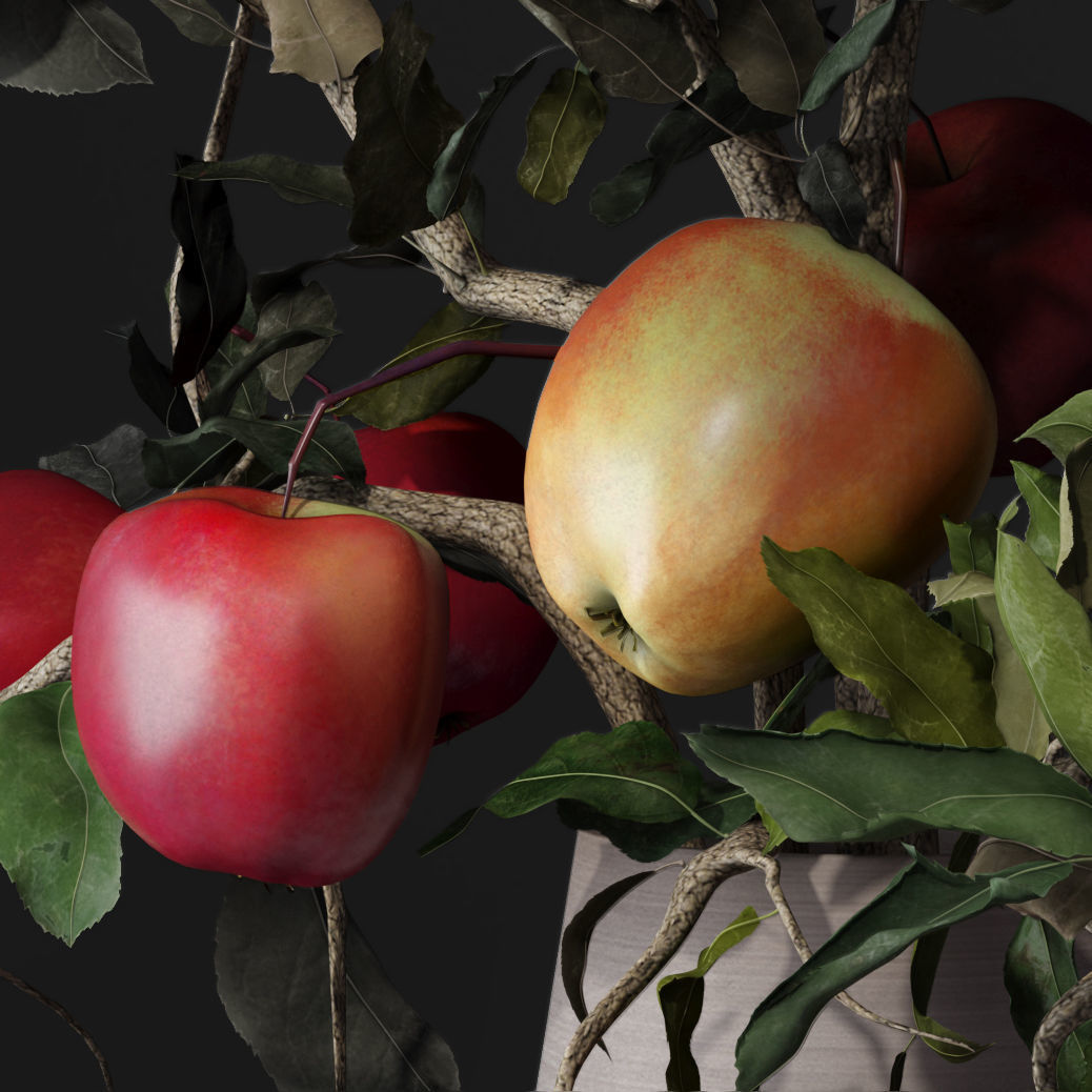 Red Cherry tomato apple branches Dry leaves Vase 3D model_15