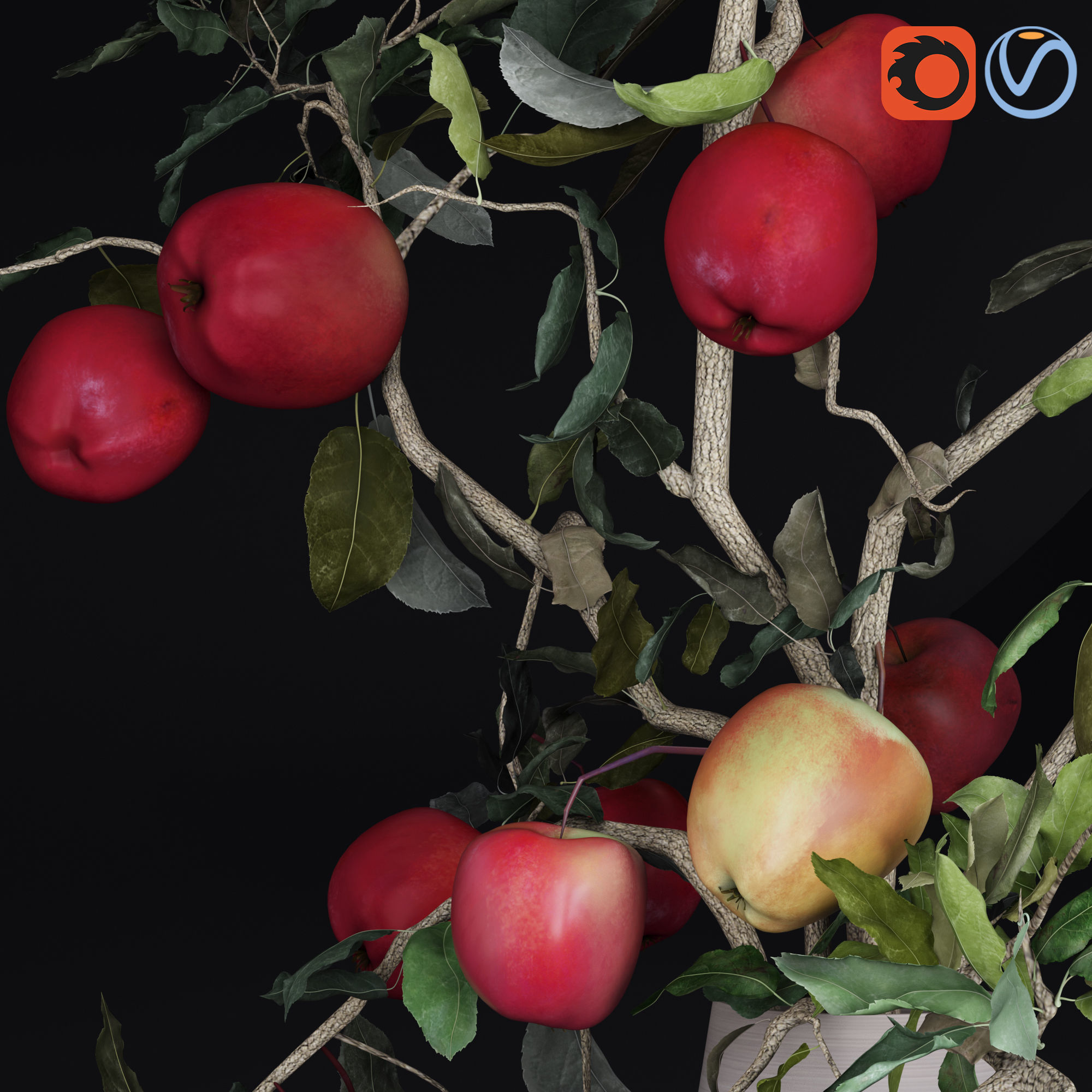 Red Cherry tomato apple branches Dry leaves Vase 3D model_24