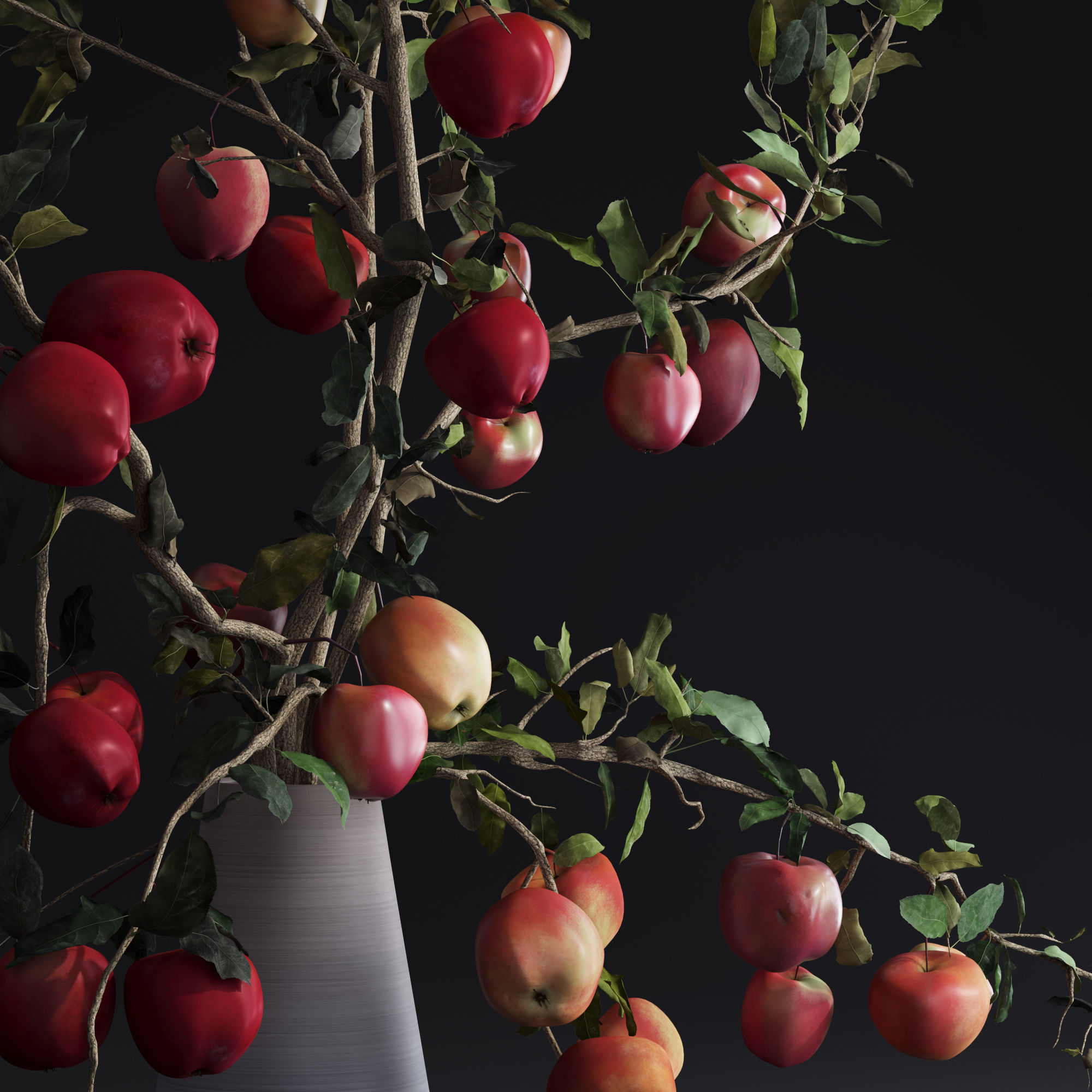 Red Cherry tomato apple branches Dry leaves Vase 3D model_23