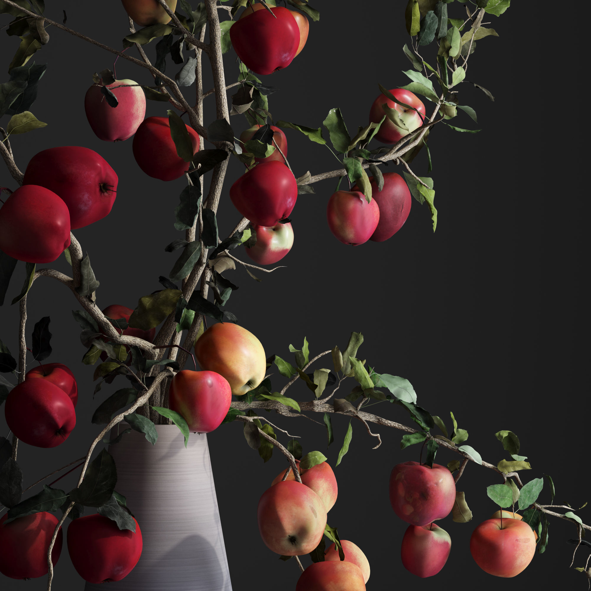 Red Cherry tomato apple branches Dry leaves Vase 3D model_3