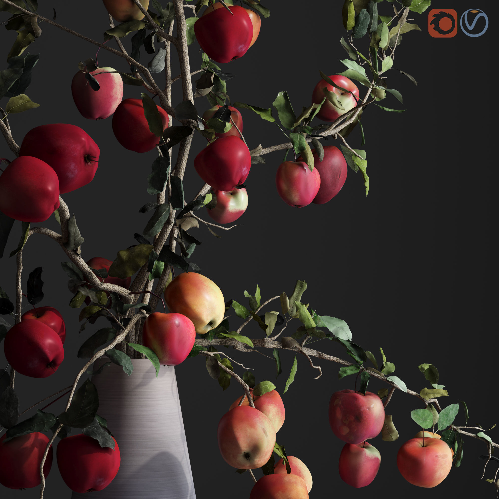Red Cherry tomato apple branches Dry leaves Vase 3D model_29