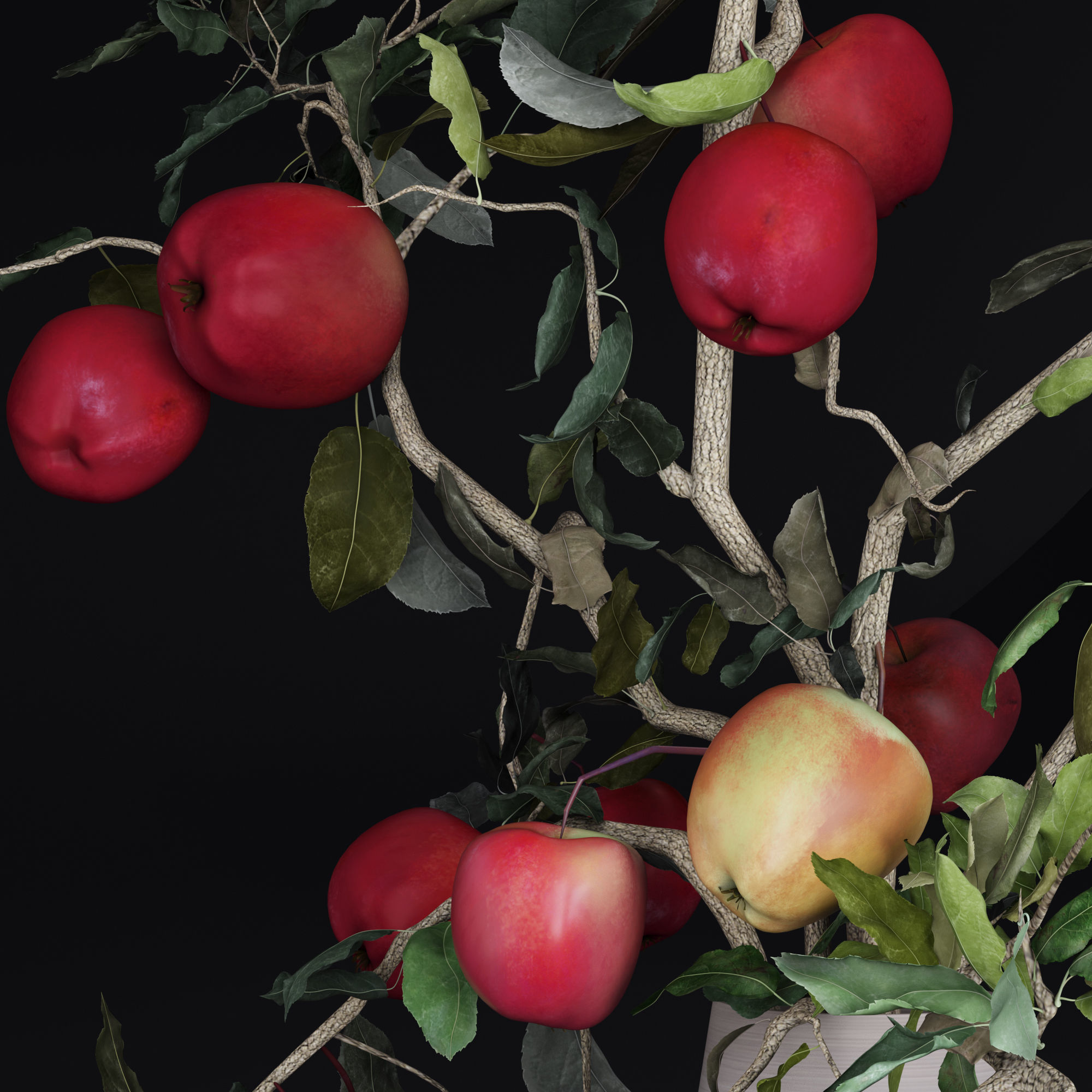 Red Cherry tomato apple branches Dry leaves Vase 3D model_14