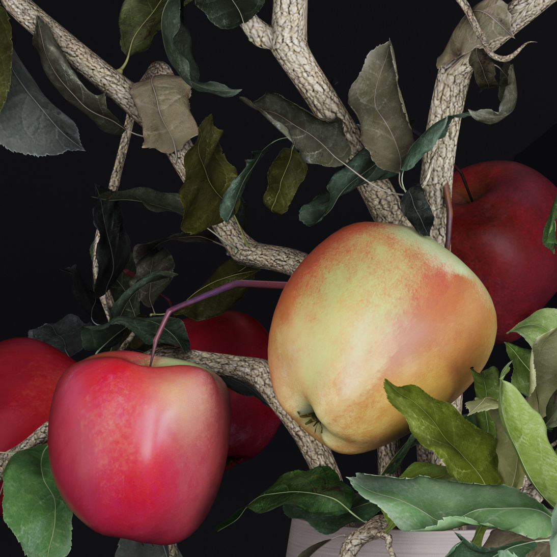 Red Cherry tomato apple branches Dry leaves Vase 3D model_17