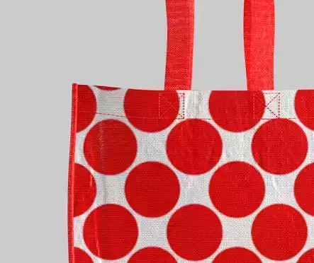Reusable Bag