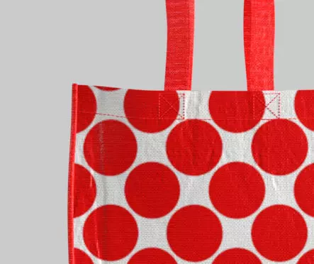Reusable Bag 3D model