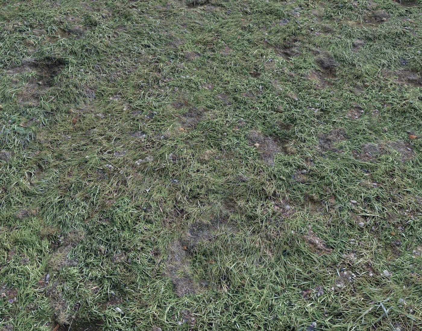 Ground terrain forest tundra PBR pack 4 Texture_9