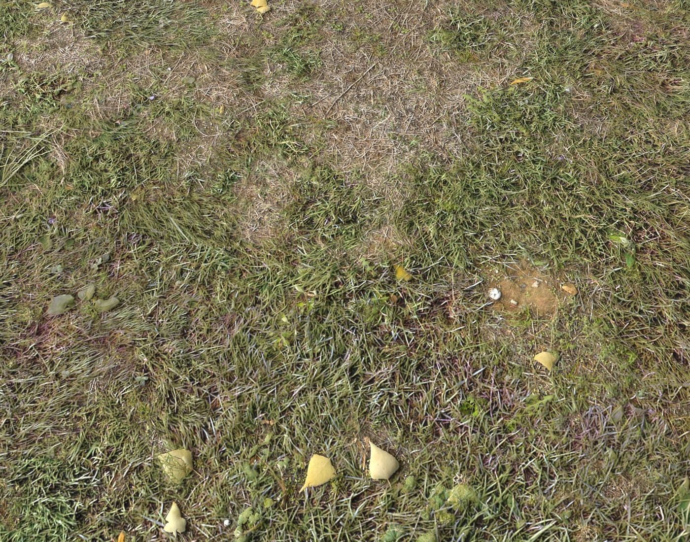 Ground terrain forest tundra PBR pack 4 Texture_16