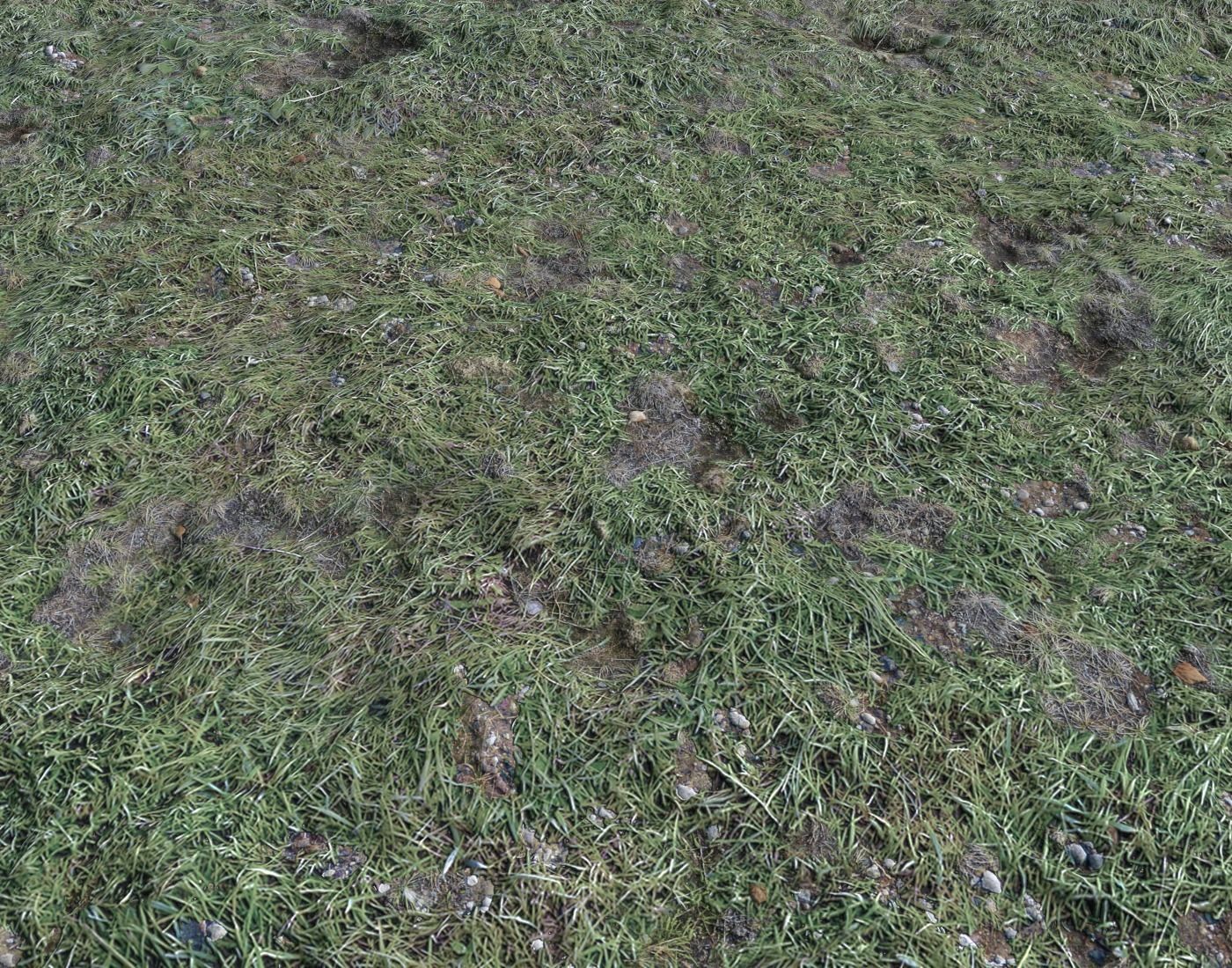 Ground terrain forest tundra PBR pack 4 Texture_10