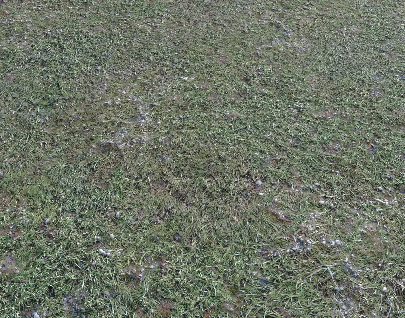 Ground terrain forest tundra PBR pack 4 Texture_0