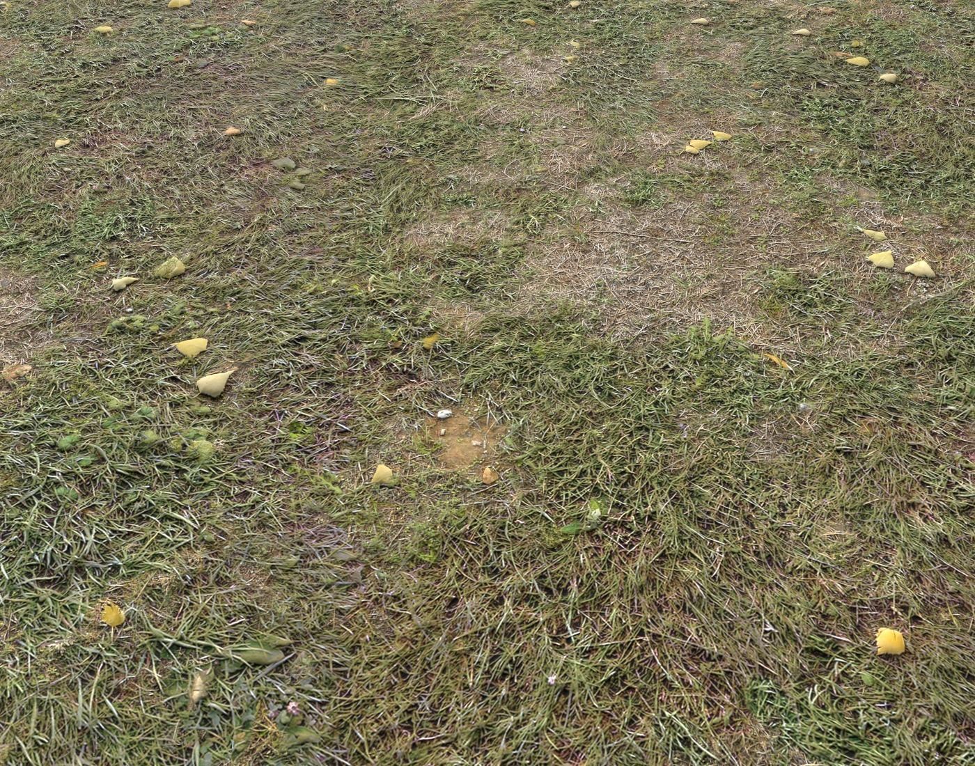 Ground terrain forest tundra PBR pack 4 Texture_15