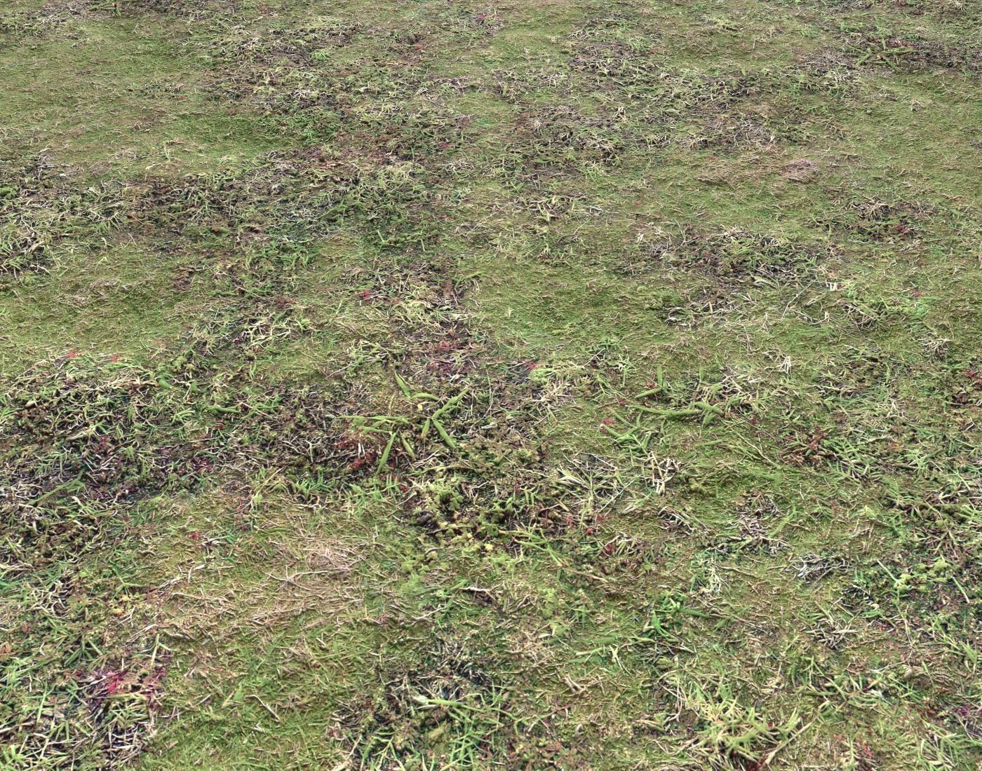 Ground terrain forest tundra PBR pack 4 Texture_19
