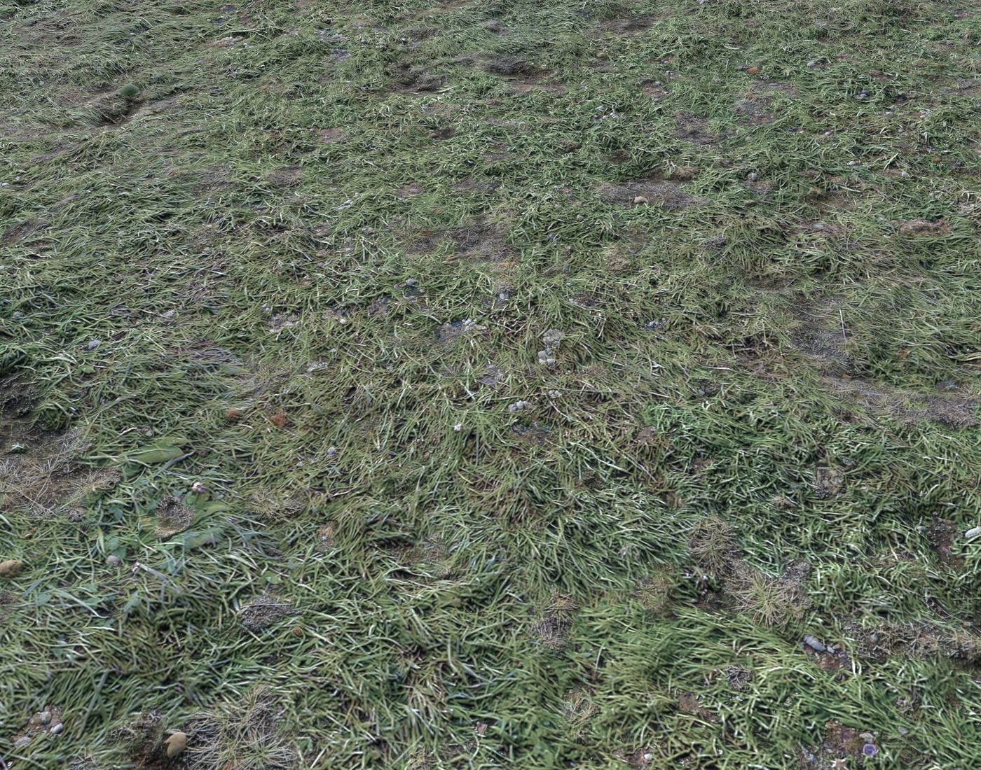 Ground terrain forest tundra PBR pack 4 Texture_11