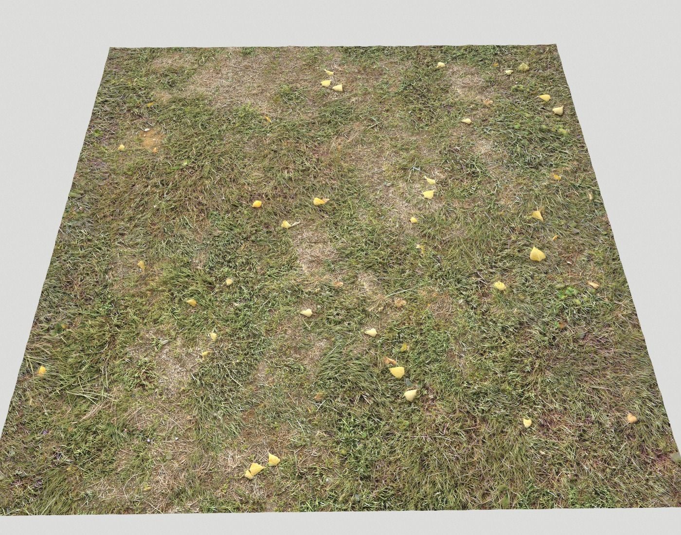 Ground terrain forest tundra PBR pack 4 Texture_23