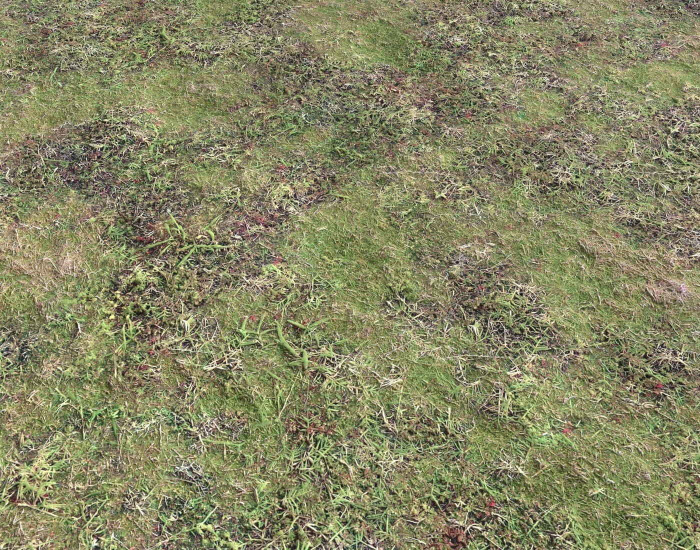 Ground terrain forest tundra PBR pack 4 Texture_17